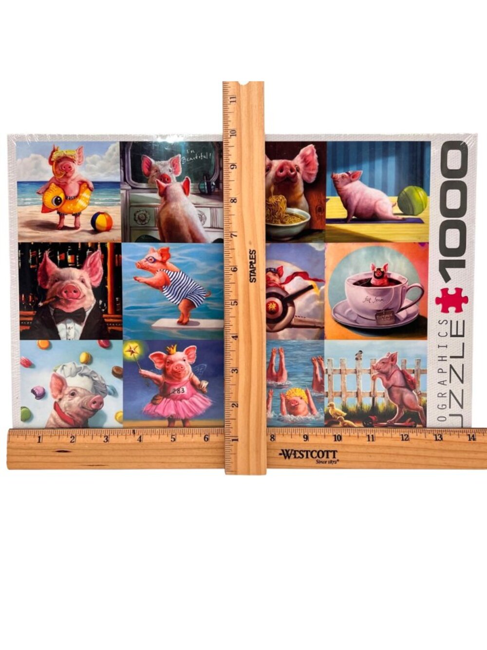 Funny Pigs 1000-Piece Jigsaw Puzzle By Eurographics Lucia Heffernan On Blueboard - Picture 10 of 12